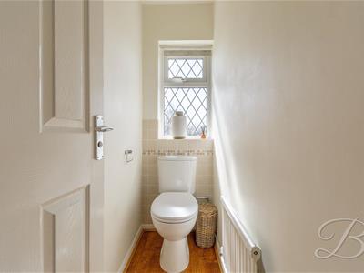 Picture 19